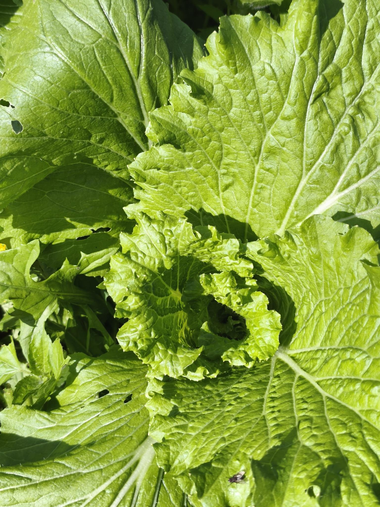 Gartenbrief KW 38 2026