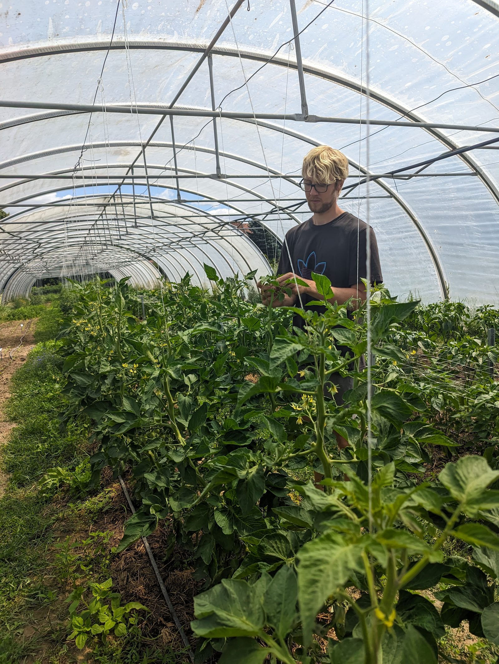 Gartenarbeit in der Solawi Grünewelt